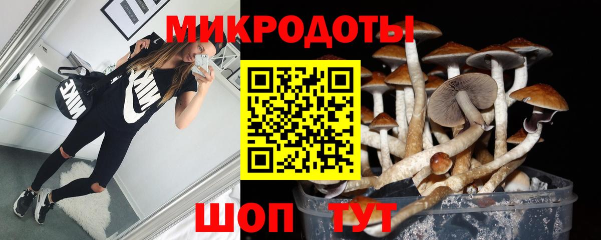Галлюциногенные грибы MAGIC MUSHROOMS Истра